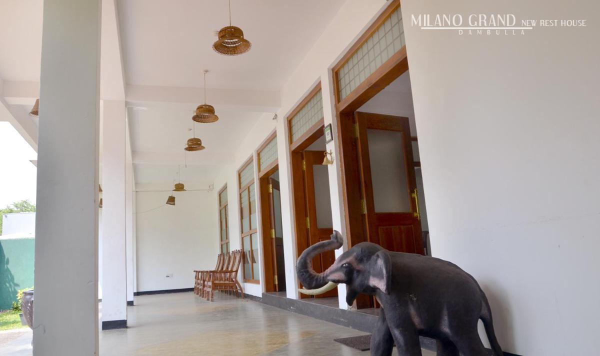 Milano Grand Hotell Dambulla Eksteriør bilde
